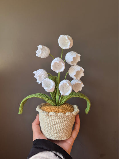 White Lily Of The Valley Pot