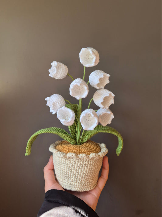 White Lily Of The Valley Pot