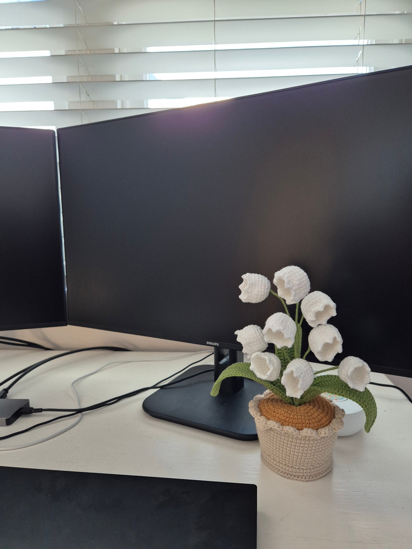 White Lily Of The Valley Pot