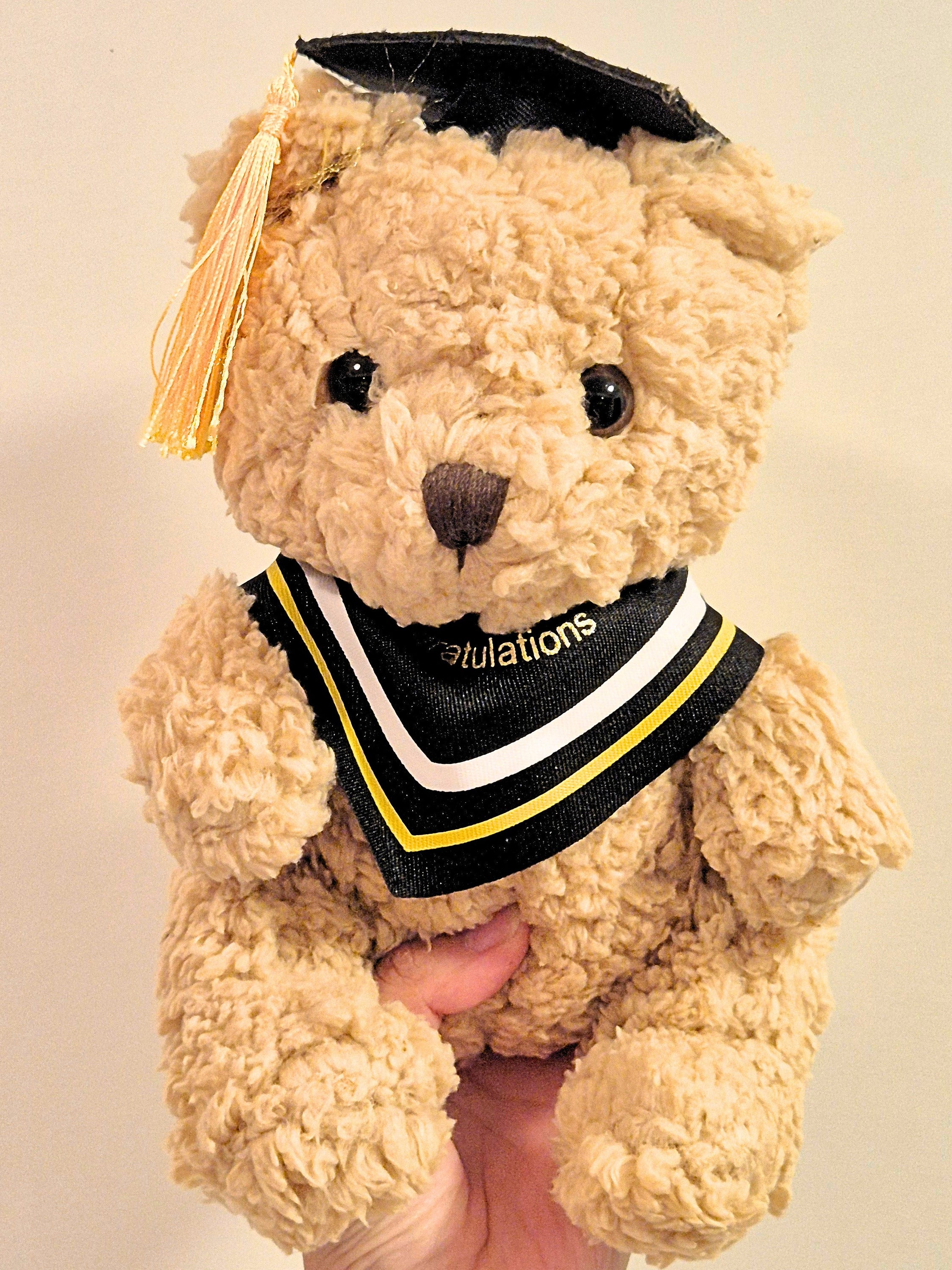 Graduation Bear